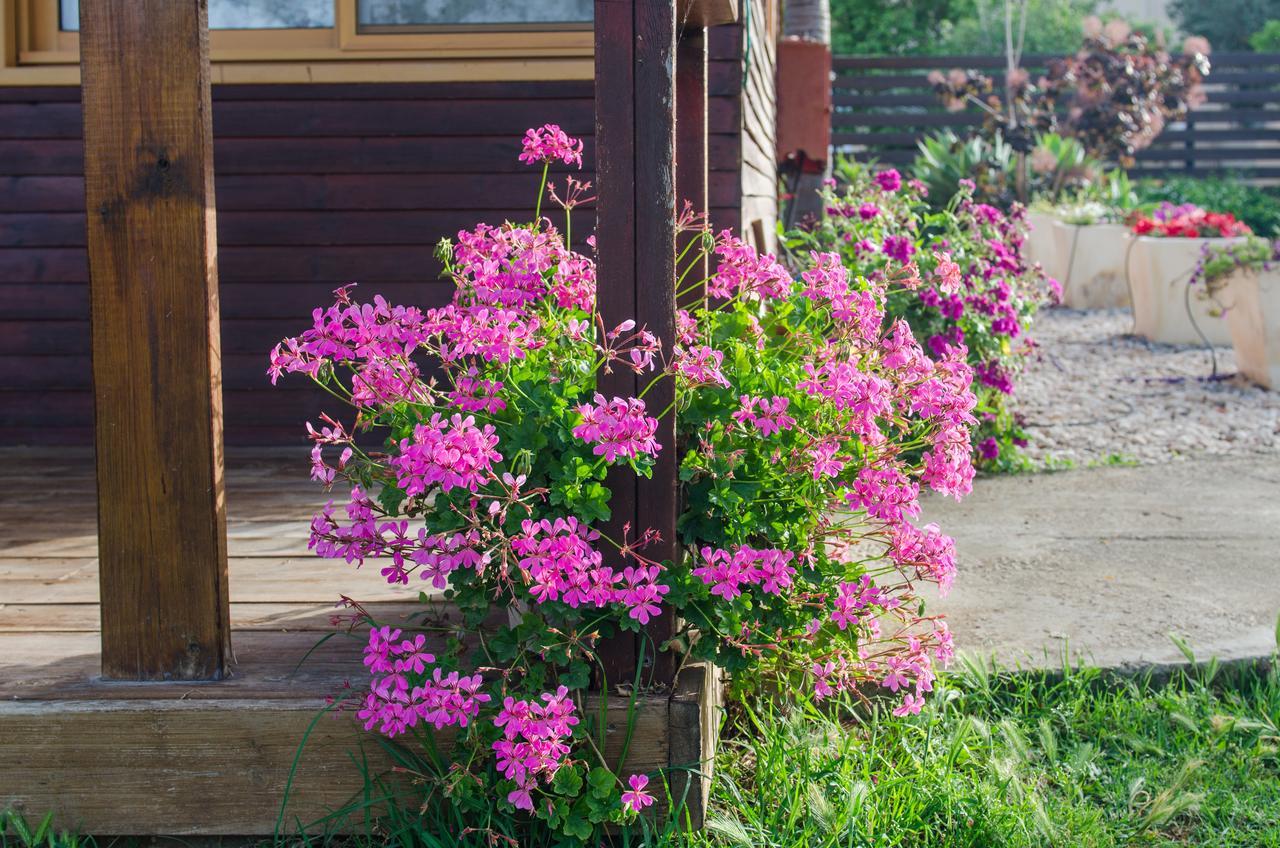 Tal Nof Cabins Villa Manot Exterior foto