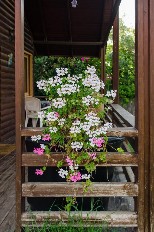 Tal Nof Cabins Villa Manot Exterior foto